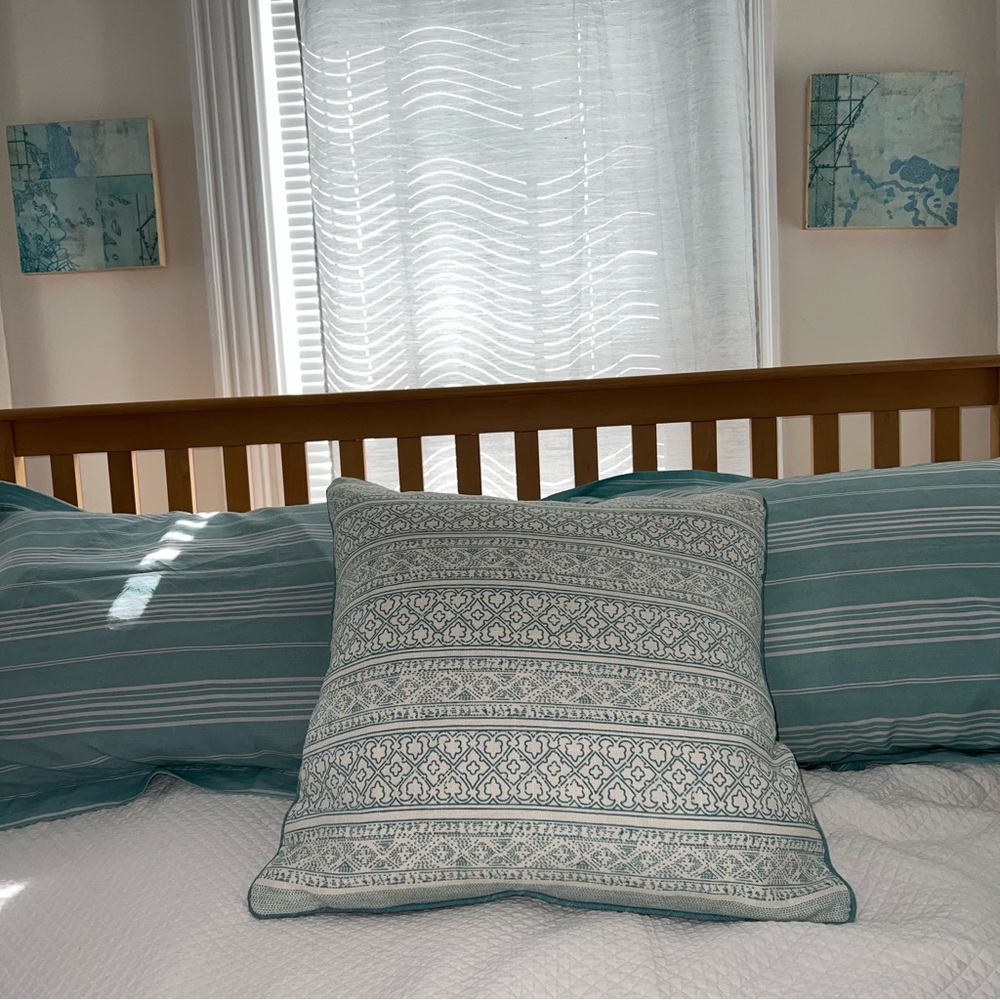Elements by Erin Gates Coastal 20x20”Pillow includes feather insert